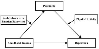 Childhood trauma, psychache, and depression among university students: a moderated mediation model
